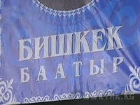 Мамытбай Салымбеков Бишкек баатырдын музейин түзүүнү сунуштады