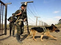 Депутат чек арачылар менен балдар үйүндө өскөндөрдүн үйү жоктугуна кабатырланды