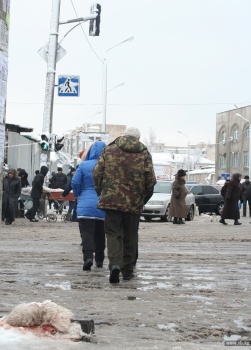 В Кыргызстане растет жестокость к животным