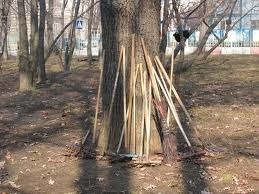 Бишкекти тазалоого муфтият да киришет