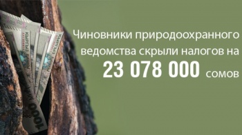 Чиновники природоохранного ведомства скрыли более 20 млн сомов налогов