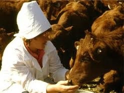 "Эмгек сиңирген мал доктур" наамын белгилөө демилгеси сунушталып жатат