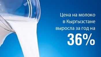 ВПП ООН: Цена на молоко в Кыргызстане выросла за год на 36%