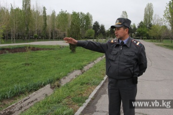 Территория с президентскими сакурами находится  под круглосуточной охраной