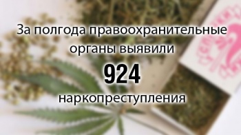 За полгода правоохранительные органы выявили 924 наркопреступления