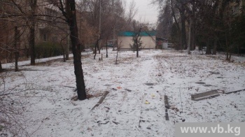 Улицу Тимирязева решили застроить