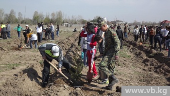 Депутаты горкенеша высадили деревья на участке парка Ататюрка