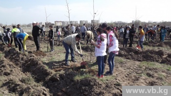 Депутаты горкенеша высадили деревья на участке парка Ататюрка