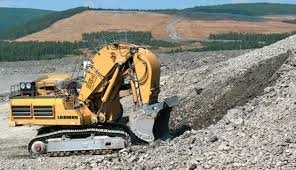 Инвесторов месторождения в Чуйской области вынудили спустить технику