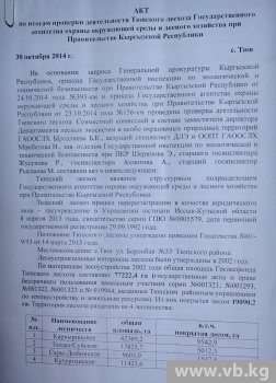 Лесовод: В Кыргызстане вырубили деревьев на 4,5 миллиона сомов