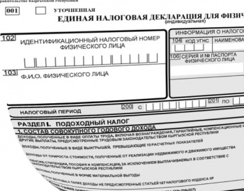 ГНС начала кампанию по приему Единой налоговой декларации по итогам 2016 г.