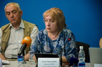 Череменина: Кыргызстанские СМИ часто нарушают закон об авторских правах