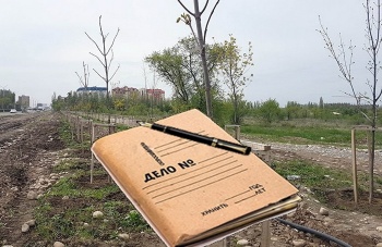 "Золотые" саженцы. ГКНБ все же завел уголовное дело