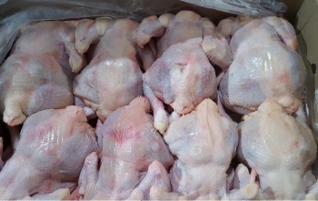 В Кыргызстан незаконно ввезли мясо птицы из КНР