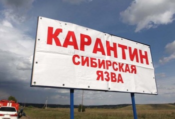 Кыргызстанцы продолжают забивать скот без ветеринарного освидетельствования