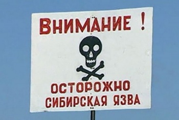 В Казахстане от сибирской язвы скончался глава крестьянского хозяйства