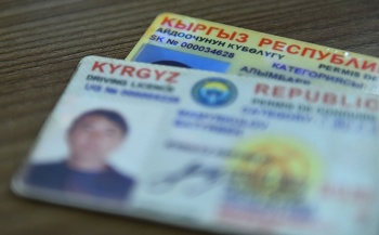 Весной 2019 года начнется выдача водительских удостоверений нового образца