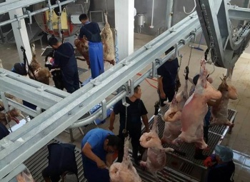 Отечественным заготовщикам разрешили экспортировать мясо в ЕАЭС