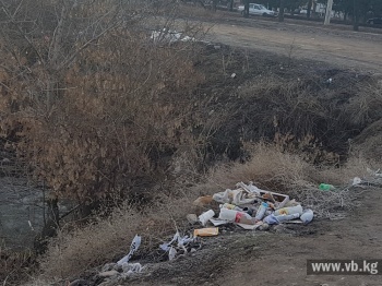 БЖЭ жанындагы каналдын жээги таштандылар талаасына айланууда