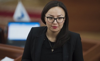 Депутат Мамашова родила сына, но в декрет не ушла