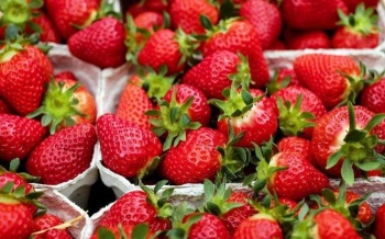 Очередную партию небезопасной продукции из Кыргызстана не пустили в Россию