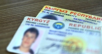 Айдоочулар жаңы күбөлүктү качан алышат?