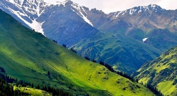 Массалык баш аламандык жөнүндө билдирүү тараткан аял аныкталды