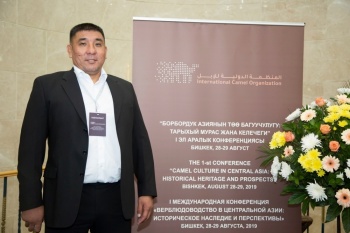 Усупов: Мурда Кыргызстанда төөлөрдүн саны 12 миңге жеткен