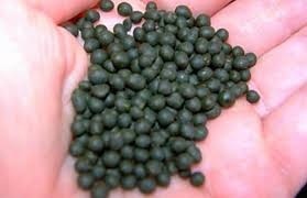 В России кыргызстанца оштрафовали за насвай