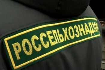 Алтай экспортировал в Кыргызстан зерно и не пропустил орехи