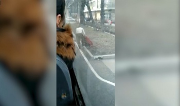 В Бишкеке троллейбус сбил девушку на перекрестке (видео)