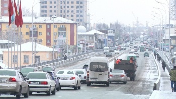 В доме ошанина без его ведома зарегистрировали более 900 человек