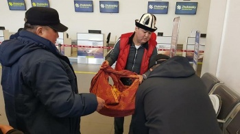 Кыргызстанцы в Москве помогают соотечественникам в аэропортах