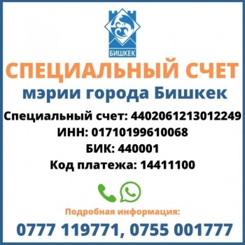 Как истратят "коронавирусные сомы" со спецcчета мэрии?