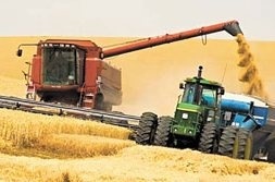 Что урожай грядущий нам готовит