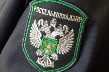 В Россию не пропустили сельхозпродукцию из Кыргызстана