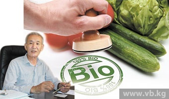 Почему в КР трудно реализовать производство экологически чистой продукции?