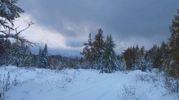 Фото соцсети РК