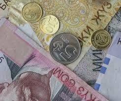 Первым лицам страны предложили снизить зарплату до прожиточного минимума