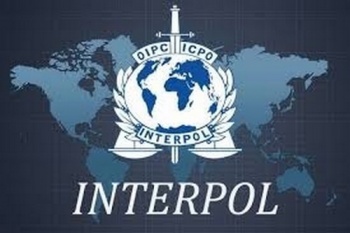 Интерпол предупредил о последствиях при пользовании утерянных документов