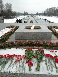 Кыргызстанцы поучаствовали в онлайн-встрече памяти о блокаде в Ленинграде