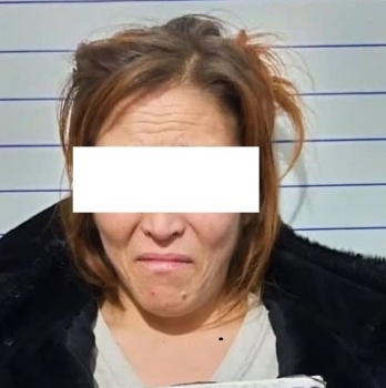 В Жайылском районе 36-летняя женщина убила своего 14-летнего сына