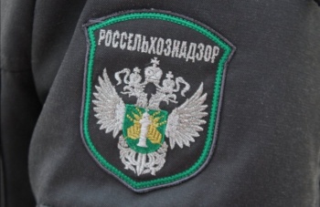 В Оренбуржье уничтожили крупную партию риса из Кыргызстана
