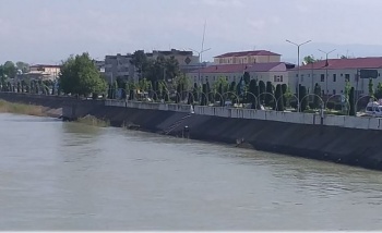 В РУз женщина привязала к себе четырехлетнего ребенка и сбросилась с моста