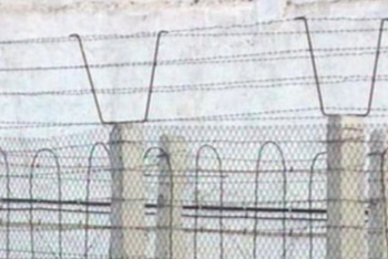 В Туркменистане на свободу вышли более тысячи заключенных