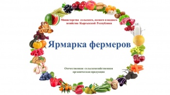 Ярмарка в Бишкеке: Говядина от 380 сомов, масло подсолнечное от 130 сомов