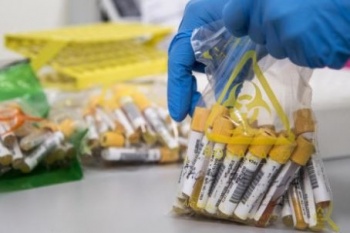 ВОЗ решила называть штаммы коронавируса буквами греческого алфавита
