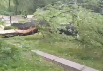 В Бишкеке в результате шквалистого ветра пострадали три человека