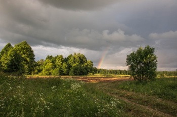 Фото: photocentra.ru @olgaluch