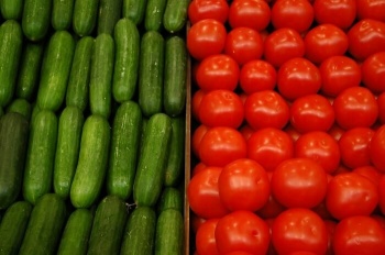 Картофель, помидоры и огурцы в Кыргызстане стали дешевле